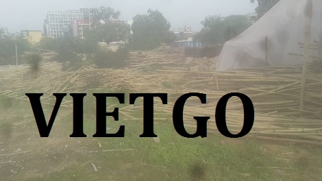 Hương Vietgo